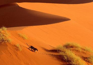 Red desert in Namibia